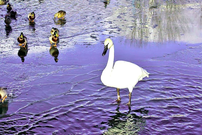 So läuft eine typische Duck River Session ab